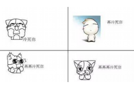 西夏如何避免债务纠纷？专业追讨公司教您应对之策